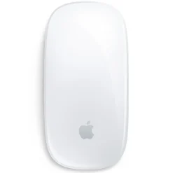 Apple Datamus|Magic Mouse
