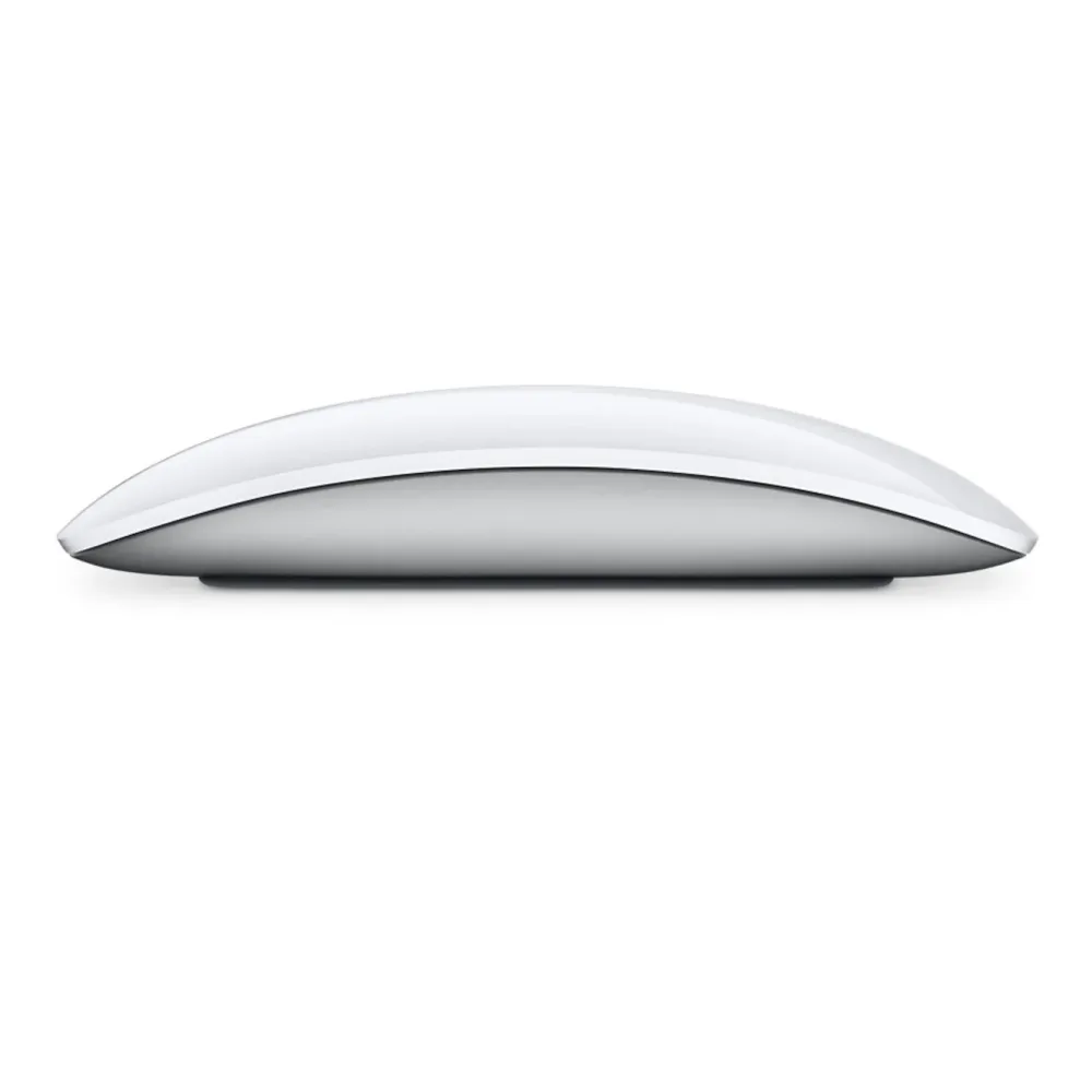 Apple Datamus|Magic Mouse