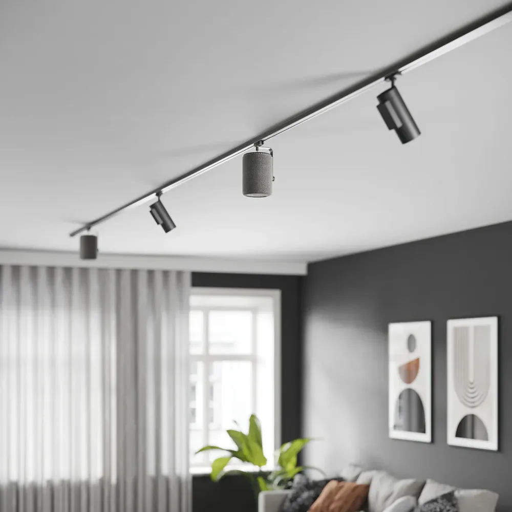 Audio Pro Høyttaler|Stemmeassistenter|A10 MKII Multiroom-høyttaler