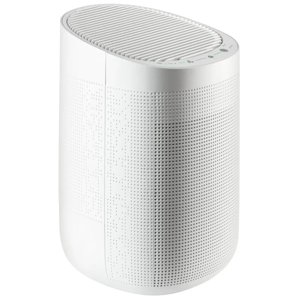 Cleverio Inneklima|AD100 Kompakt avfukter med HEPA-filter