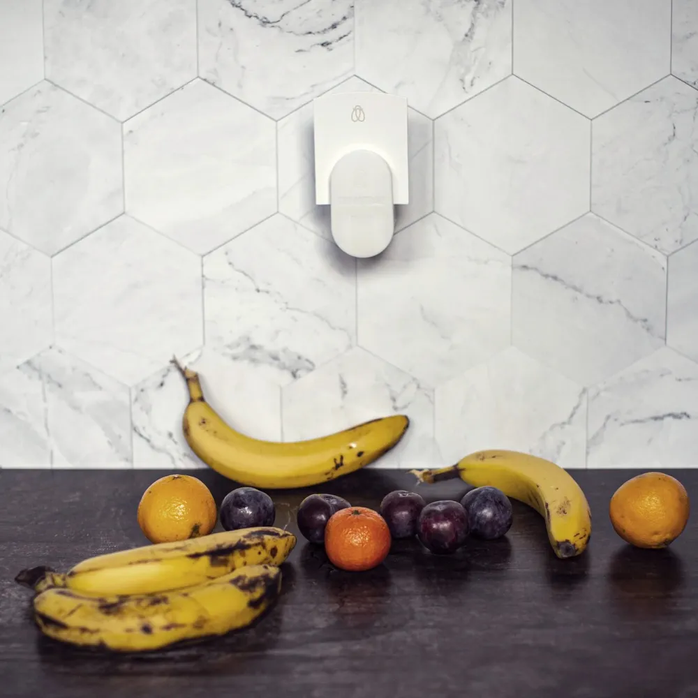 Dynatrap Hage|Gressklippere|Felle for bananfluer