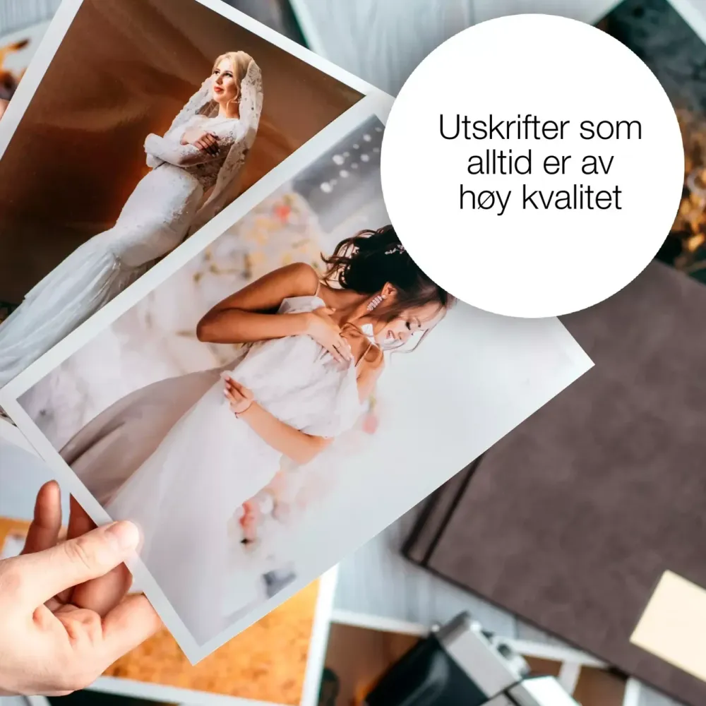 Epson Skrivere Og Tilbehør|604 blekkpatroner i multipakke Standard
