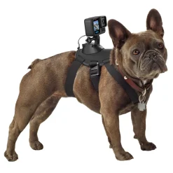 Gopro Foto Og Video|Hero 13 Black