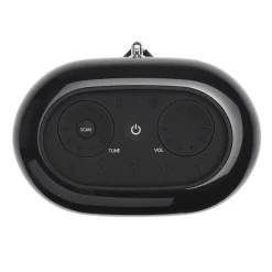 JBL Høyttaler|Musikkspiller Og Radio|Tuner XL Radio med Dab+ og Bluetooth
