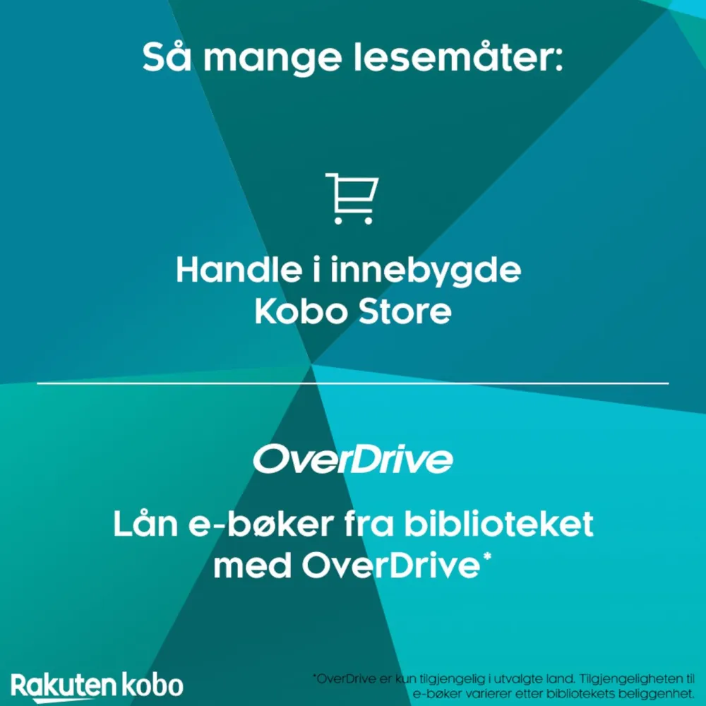 Kobo Lese & Nettbrett|Notebook Elipsa 2E med Stylus 2