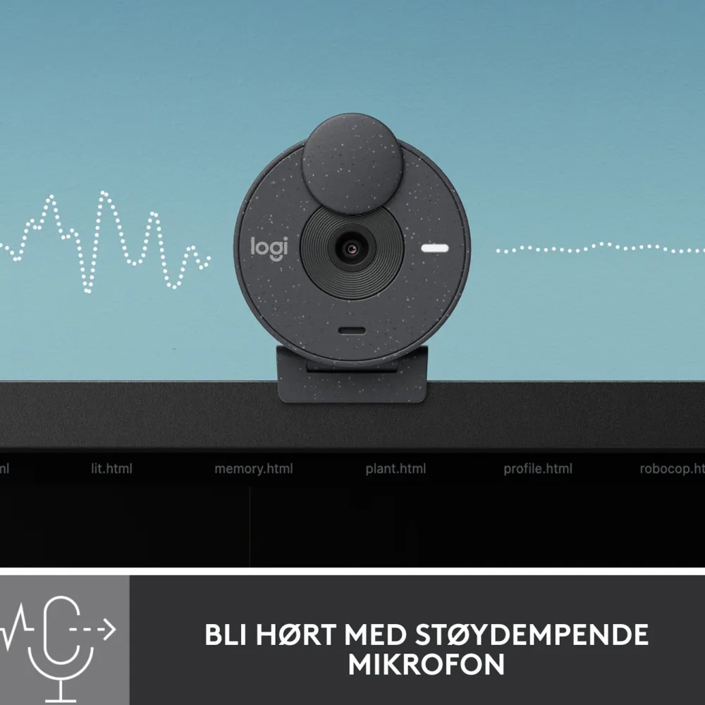 Logitech Hjemmekontor|Webkameraer|Brio 300 Webkamera med USB-C