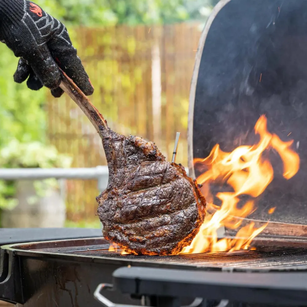 Meater Kjøkken Og Spisestue|Pro Trådløs Grilltermometer og repeater for mobilen