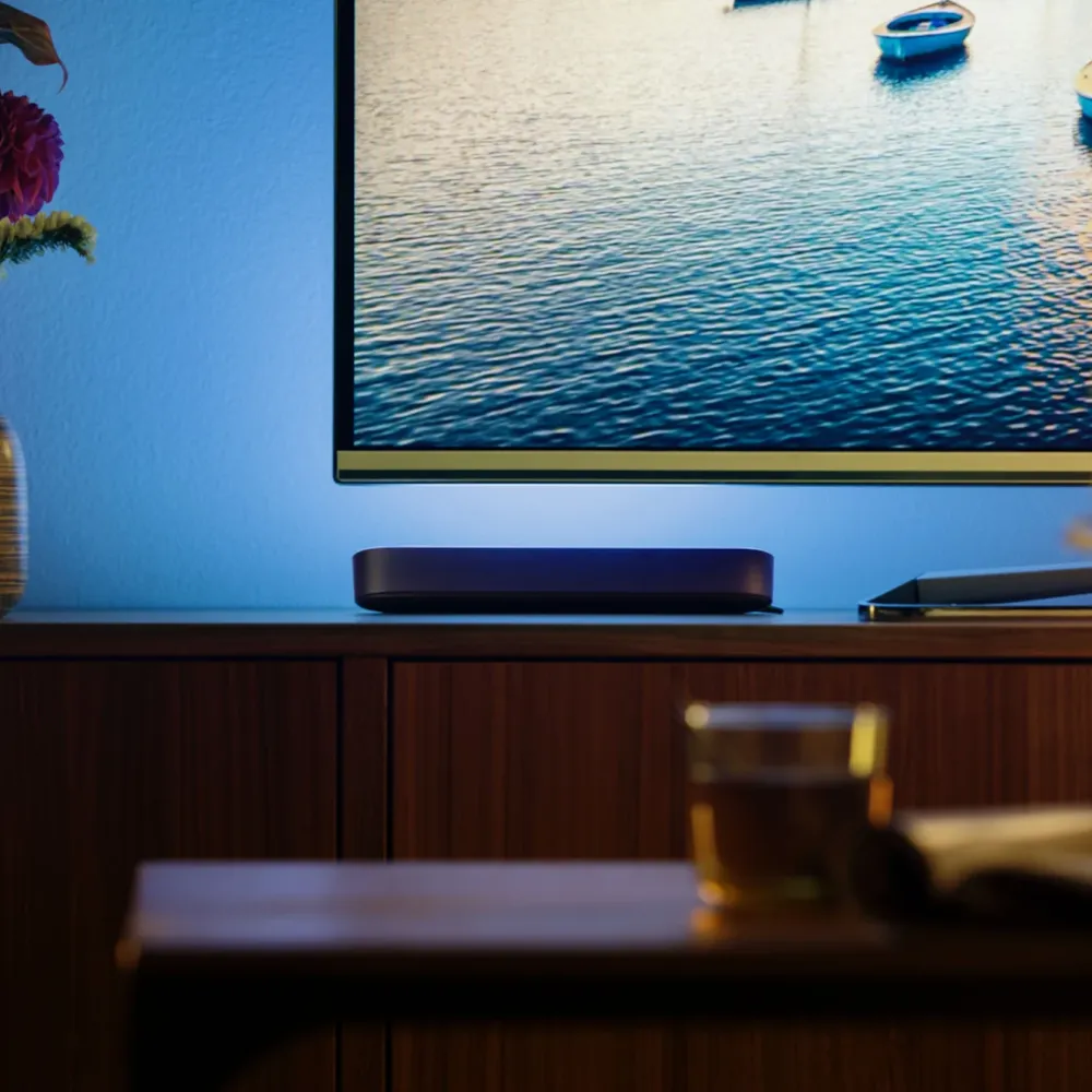 Philips Hue Smart Belysning|Philips Hue|Play Bord- og vegglampe - Svart