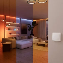 Philips Hue Philips Hue|Philips Hue|Wired Wall Switch Module 2-pakning