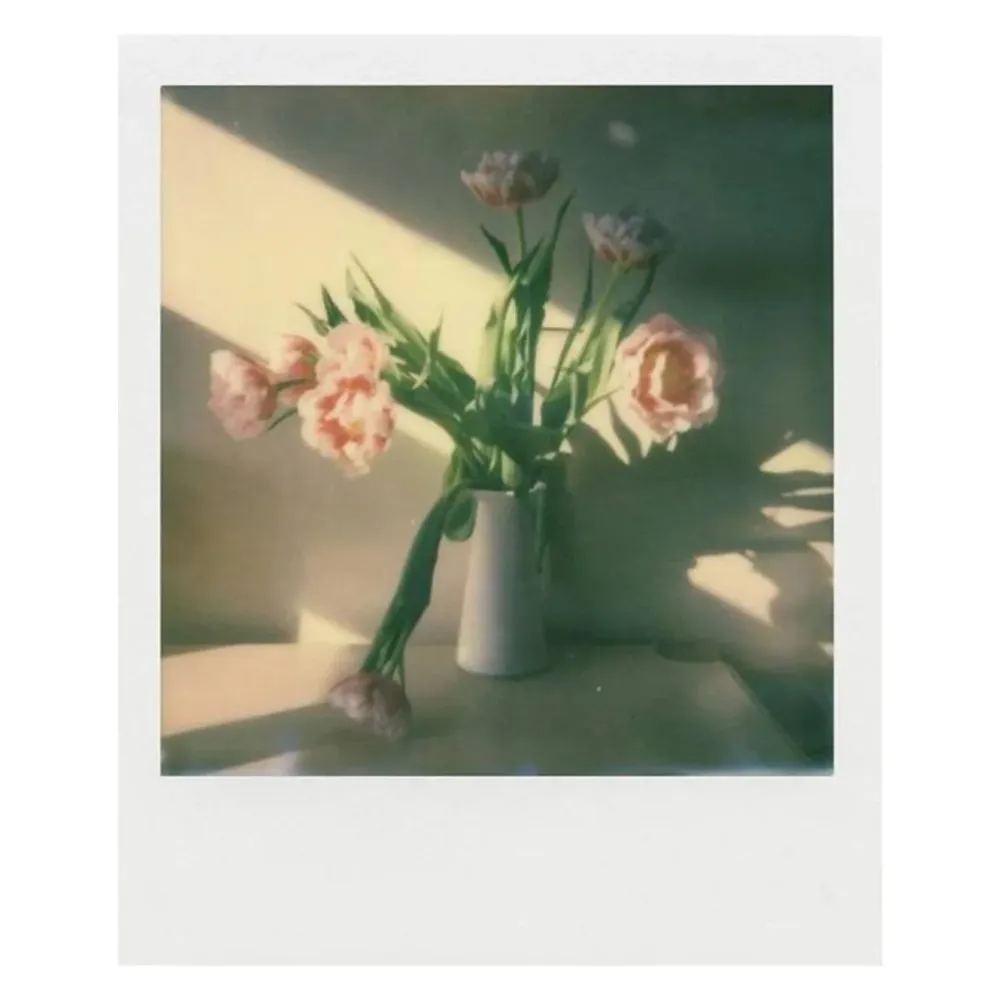 Polaroid Skrivere Og Tilbehør|Film til Now og Onestep 2 i-Type