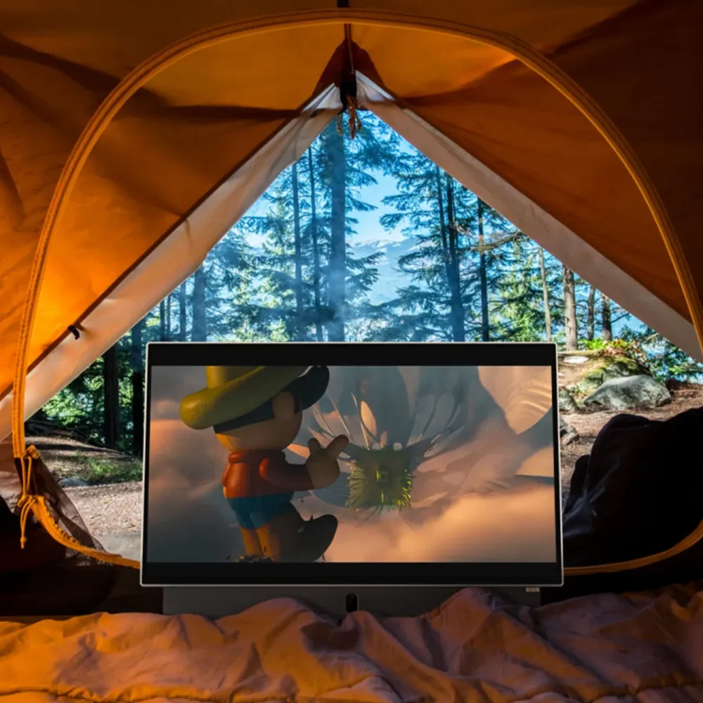 STRONG Tv Og Tilbehør|METZ 24" LED Portabel TV