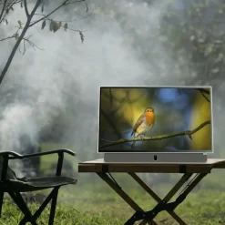 STRONG Tv Og Tilbehør|METZ 24