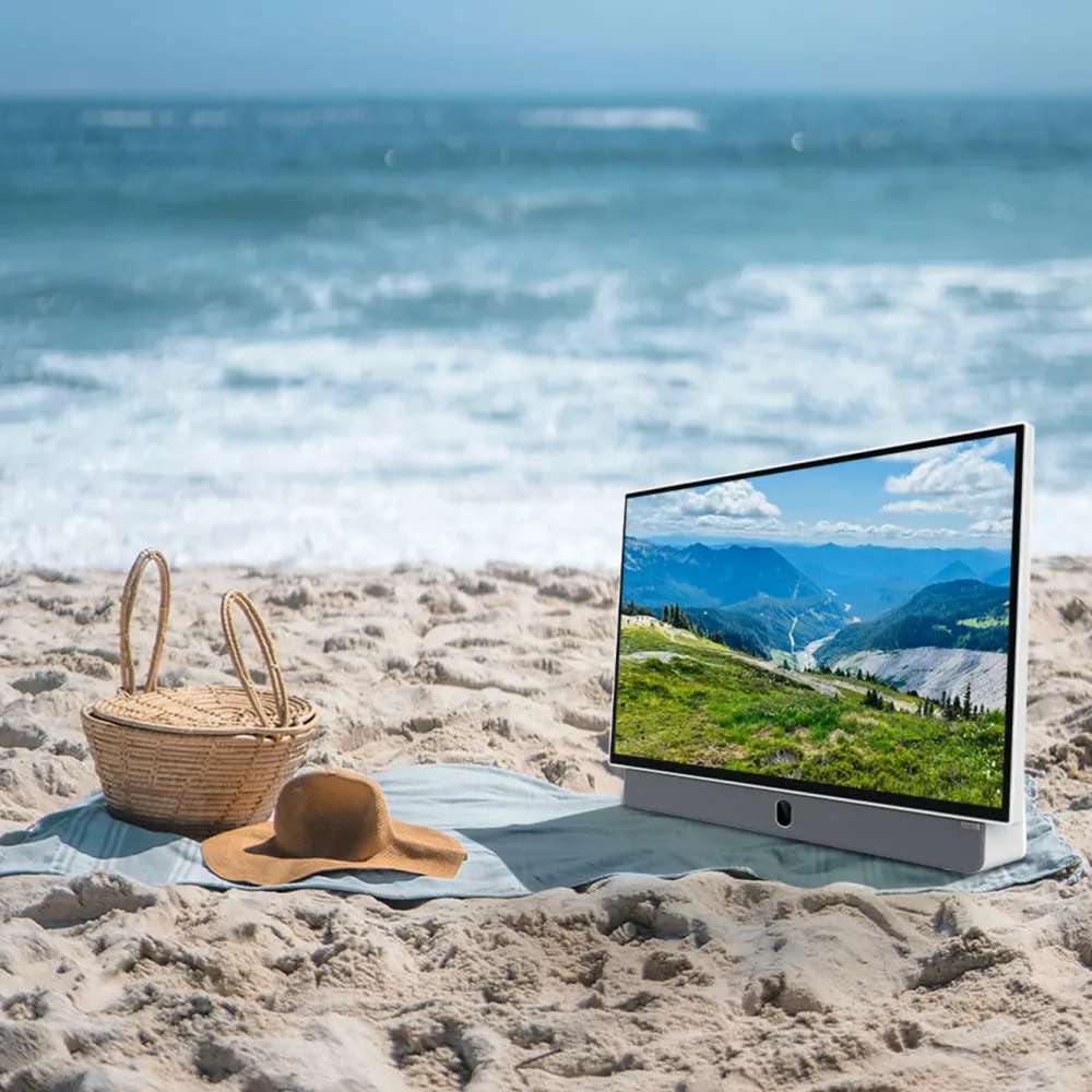 STRONG Tv Og Tilbehør|METZ 24" LED Portabel TV