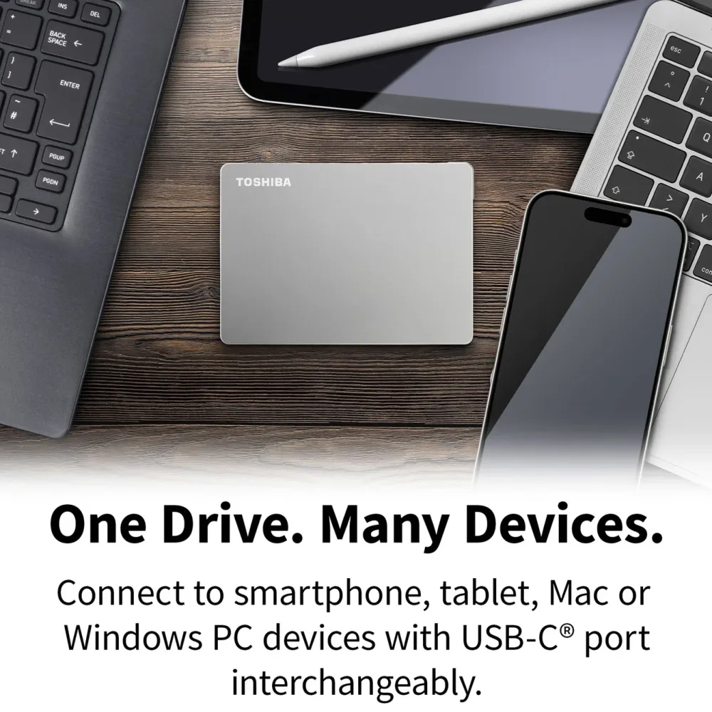 Toshiba Lagring|Canvio Flex Silver 1 TB