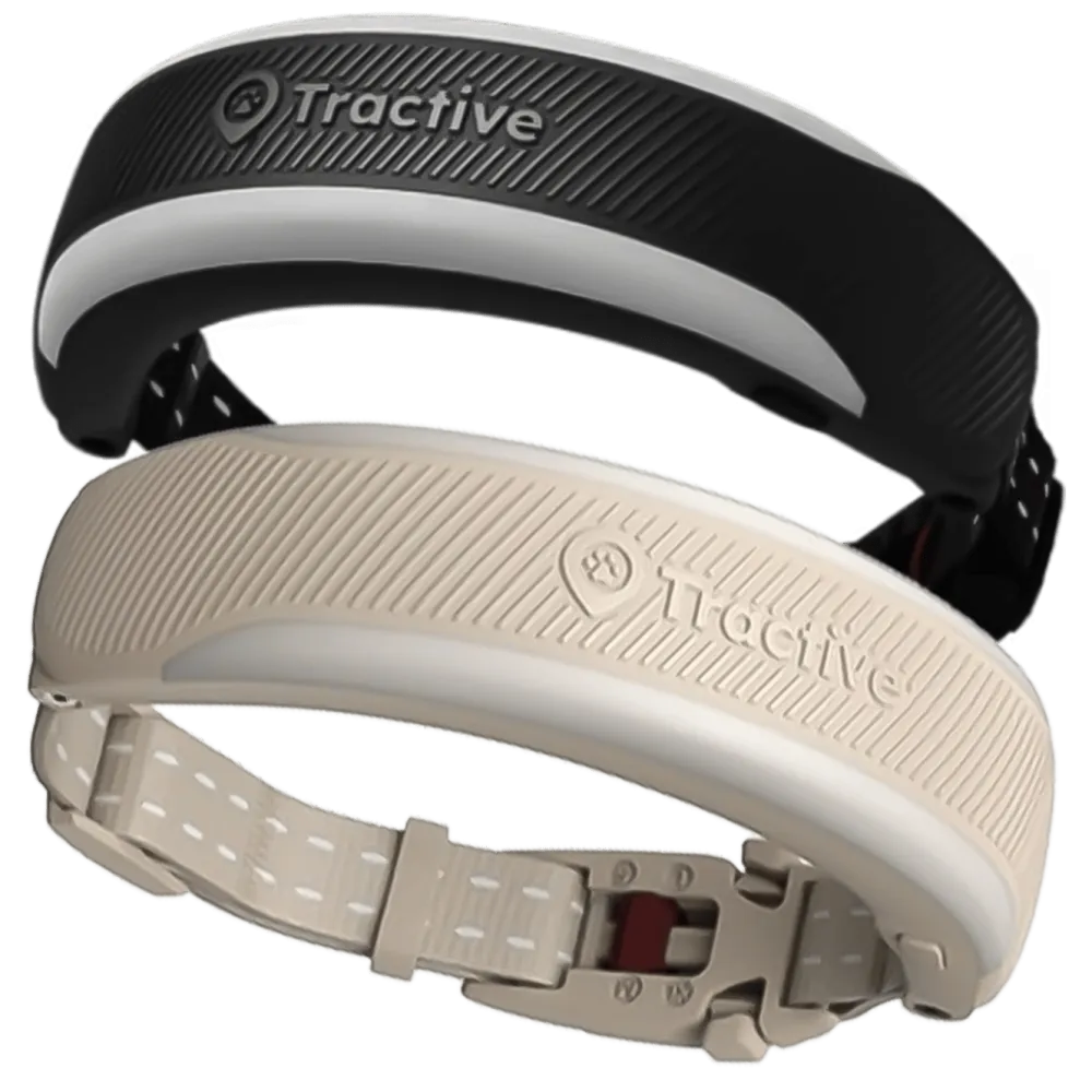 Tractive Fritid|Gps|CAT 6 Mini GPS-halsbånd for katt med helsesporing