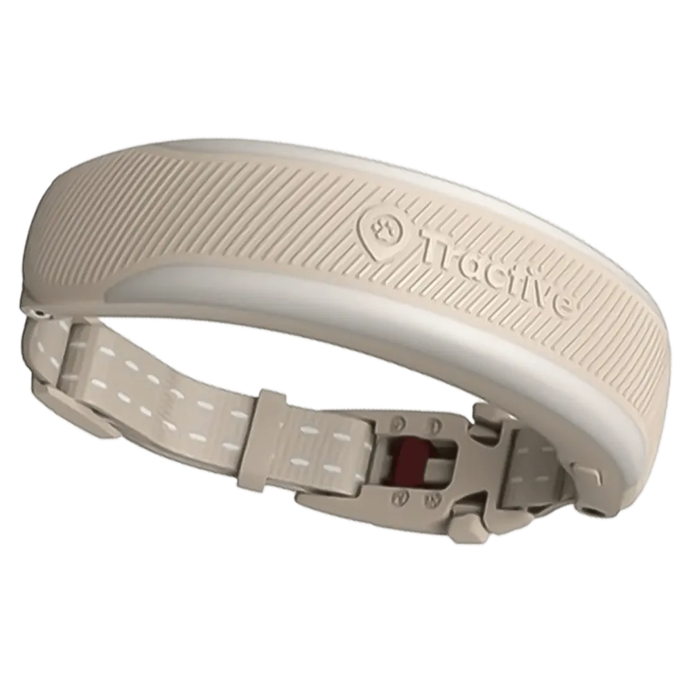 Tractive Fritid|Gps|CAT 6 Mini GPS-halsbånd for katt med helsesporing
