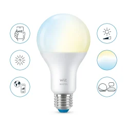WiZ Smart Belysning|Smart Belysning|G95 Smart LED-pære E27 1055 lm